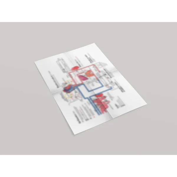 Flashcards Farmacología Cardiovascular